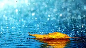 kekuatan doa, hujan berkah, kisah teladan
