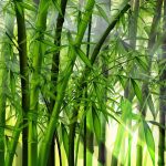filosofi pohon bambu